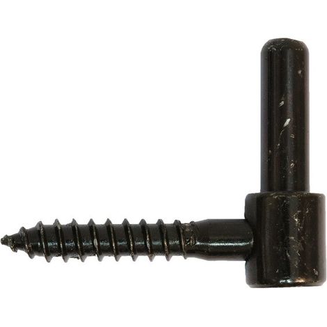 Bisagra atornillable TORBEL - Ø18 mm - Negra - P6110914