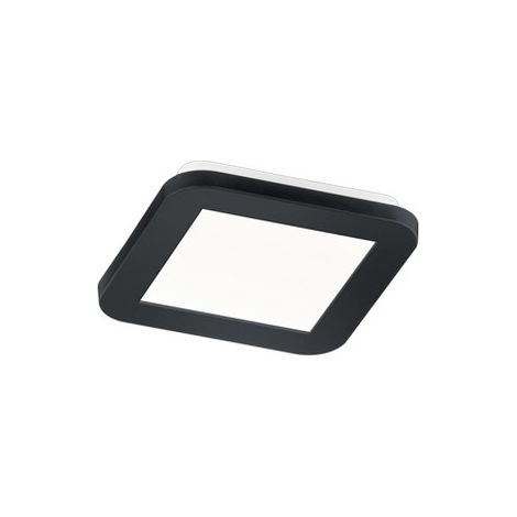 Camillus Led Plafón Cuadrado Regulable Negro IP44 17x17 cm Trio Lighting (1/2)