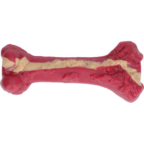 Jouet à mâcher pour chien, os en caoutchouc pour chiot dentition, hochet confortable pour mâchouiller, 20x7x6 cm (1/5)