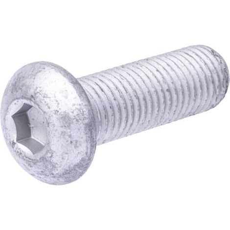 Tornillo tipo Allen hexagonal KUHN 80191650 (1/2)