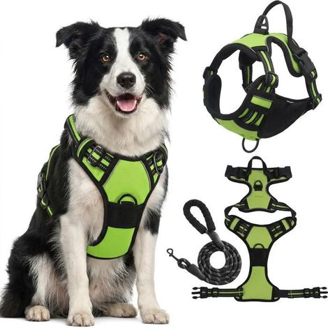 KLVGTIFS PU - Harnais Chien Arnais Vert Anti Traction Réfléchissant Gilet Réglable pour Chien Taille M Attache Devant Crochet de Laisse (1.5M) (1/5)