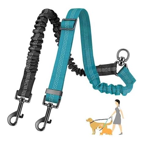 Accouples pour chiens,Laisse pour animaux avec deux laisses  ceinture de sécurité pour animaux (1/5)