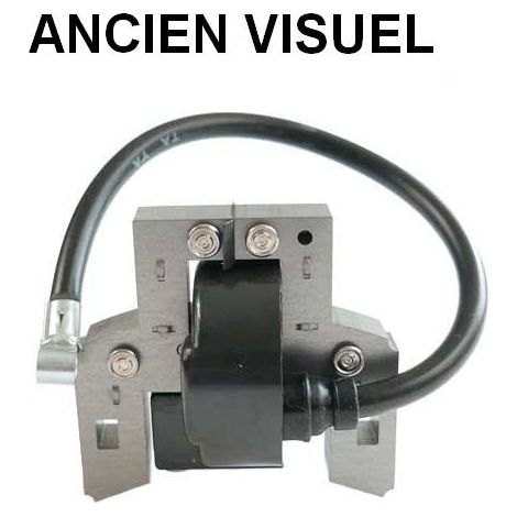 Bobine allumage moteur Briggs et Stratton 591459 (1/5)