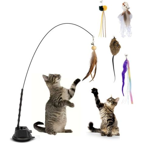 Lot de 7 jouets à plumes pour chat avec ventouse, tige flexible et recharges multiples, jouet interactif anti-ennui pour chat (1/5)