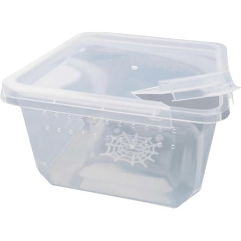 Boîte d'alimentation pour reptiles, enclos en plastique transparent, terrarium pour grenouilles, serpents et escargots (1/4)