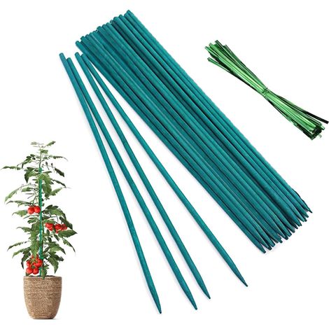 Lot de 50 tuteurs en bambou 30 cm avec attaches, support stable pour orchidées et légumes, idéal jardinage intérieur et extérieur (1/5)