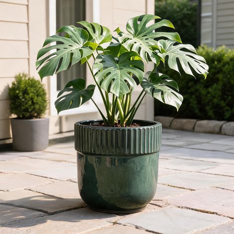Pot de fleurs en céramique vert foncé brillant Ø 38 cm (1/5)