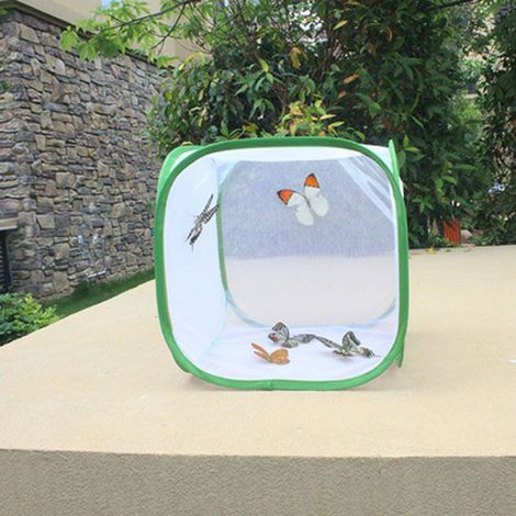 Filiyano-Cage à insectes pliable, incubateur transparent pour semis et papillons (1/2)