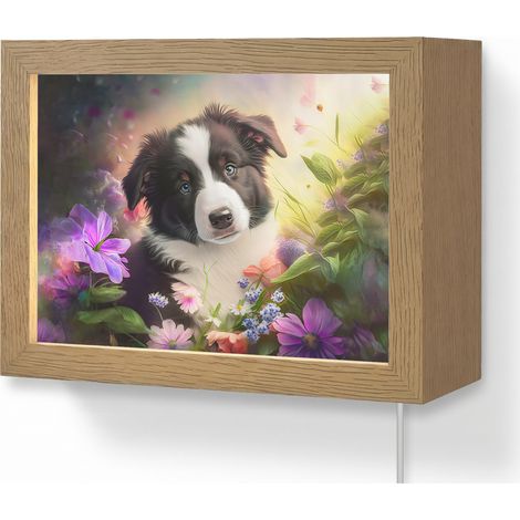 WALL LIGHT Puppy - Sun - Flowers - Nature - Border Collie - Dog 20x15 cm (1/5)