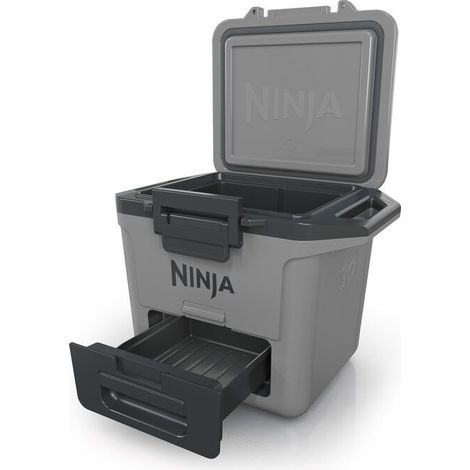 Ninja FB131EUGY borsa frigo 28 L Grigio (1/5)
