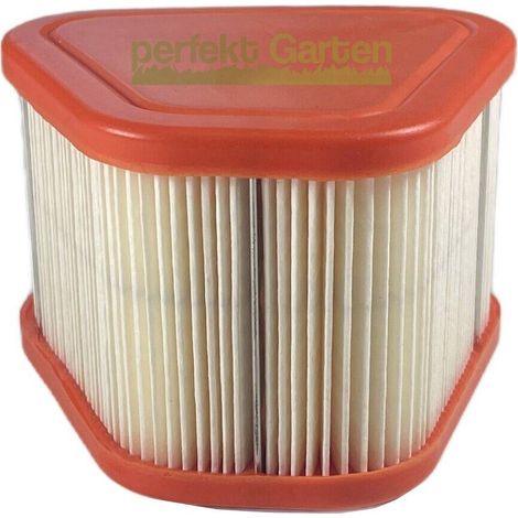 filtre à air pour moteurs Briggs & Stratton B&S 875iS 123P07 123P32 125P0B / 595853 (1/4)
