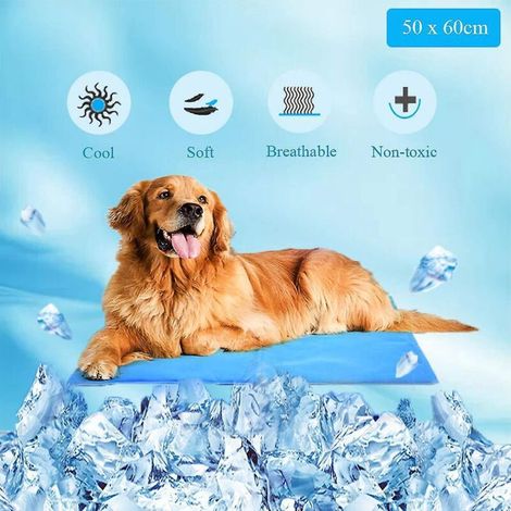 Tapis rafraîchissant pour chien, coussin en gel non toxique, imperméable et rafraîchissant, pour chiens, chats, ordinateur portable, canapé, bureau (1/2)