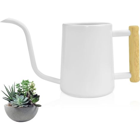 Arrosoir Acier Inoxydable 1000ml Arrosoir pour Plantes d'Intérieur Petit Arrosoir à Long Bec Arrosoir Métallique Plante Interieur Petit Arrosoir pour Plantes pour Diverses Petites Plantes (1/5)
