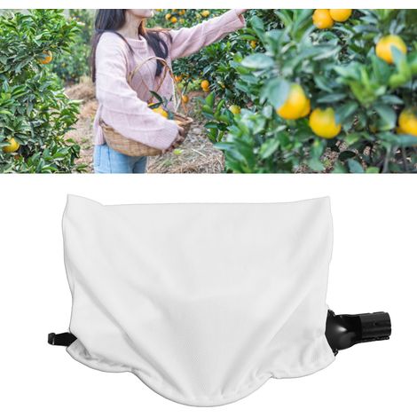cueilleur de fruits aérien à lames, sécateur à branches hautes, récolteuse de fruits à perche télescopique (1/5)