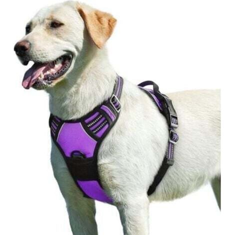 Violet, L , Harnais Chien, Harnais Anti Traction pour Chien Réfléchissant Réglable, Facile à Mettre, avec Poignée Contrôle, Arnet pour Chien Respirant, Durable, Harnais pour Chien Moyen et Grand (1/5)