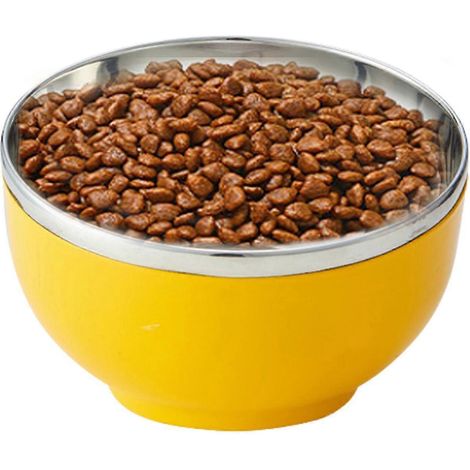 Bassine chauffante en acier inoxydable pour chiens, chats et chiots, idéale pour une utilisation extérieure de haute qualité. (1/5)