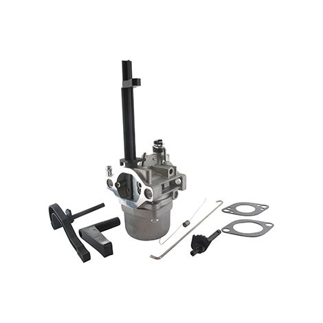 Carburateur Adaptable Briggs & Stratton Pour Modèles 210412, 212412, 216112. Remplace Origine: 699958, 796321.