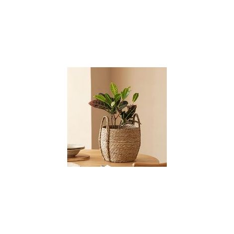Panier de jardinière tissé, Panier de jardinière d'herpres Marins 10, 2x11, 8 Pouces (1/5)