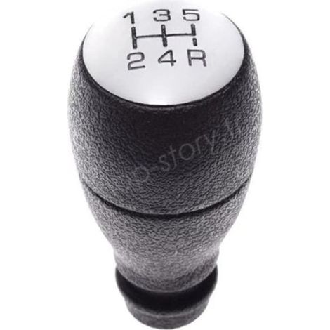 SHOP-STORY - RA2903004 : Pommeau de levier de vitesse chromé pour véhicules CITROËN Berlingo, C2, C3 et PEUGEOT 206, 207.