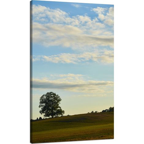 Leinwanddruck Natur Baum auf einer Wiese 70x120 cm Himmel Wiese Wolken