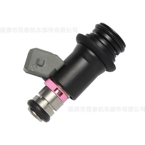 IWP170 Drosselklappeneinspritzdüse für VW Fox Gol G3 G4 1.0 16V 50102802 (1/5)