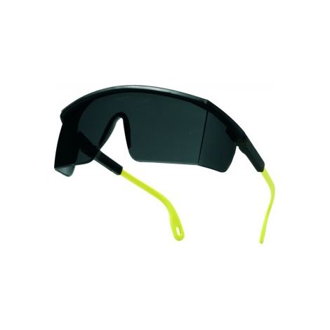 Gafas proteccion regul.ahumada