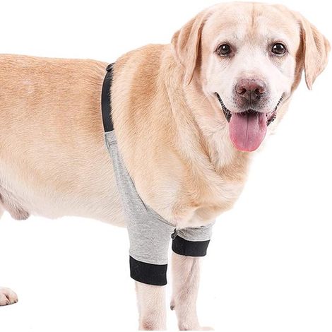 Benda regolabile per gomiti di animali domestici, tuta di recupero per cani (zampe anteriori), protezione per zampe di cani, protezione per gomiti di cani, ginocchiere per cani (1/5)