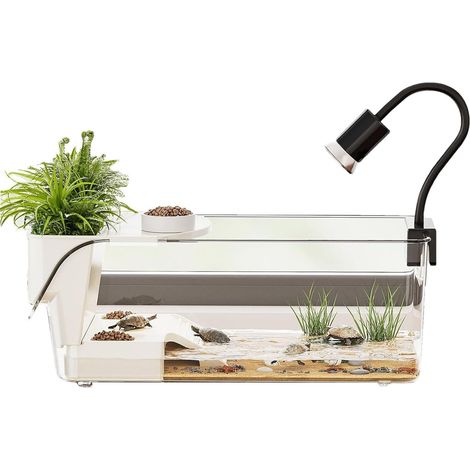 Bac À Tortues Grand Terrarium avec Plateforme de Baignade (1/5)
