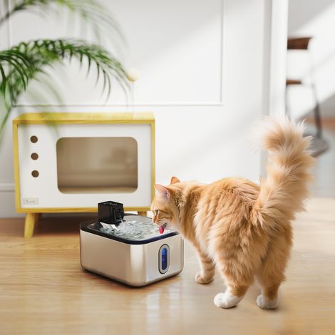Automatischer Katzenbrunnen aus Edelstahl, 5 l, geräuschlos, 3-stufiger Wasserspender mit Filter und USB-Ladegerät, silber (1/5)