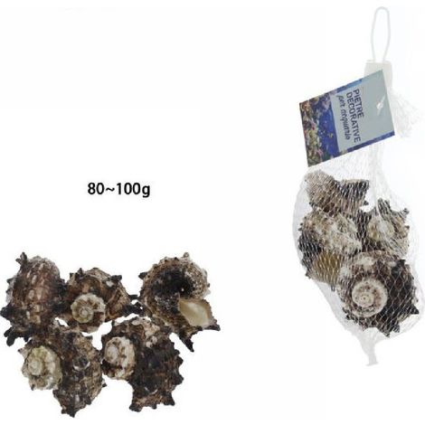 Trade Shop - Sacchetto Di Conchiglie Mare Da 80-100gr Decorazione Arredo Per Acquario 70288 -