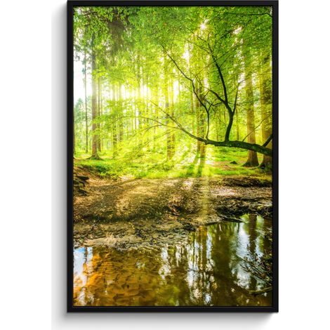 AFFICHE ENCADRÉE Forêt - Paysage - Eau - Arbres - Soleil - Vert - Nature Decoration Murale Peinture 80x120