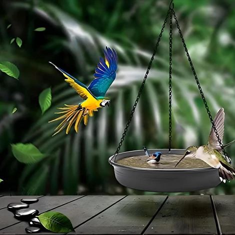 Grey Resin Round Bird Bath Tray  Backyard Garden Decoration & Wild Bird Feeding Station
