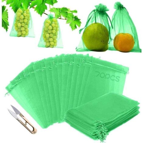 Sachet Protection Raisin,70 pièces Sac Protection Fruits,Sachets en Organza Respirant 30cm x 20cm,Sachet Protection Fruits,Sac Protection Raisin (1/4)