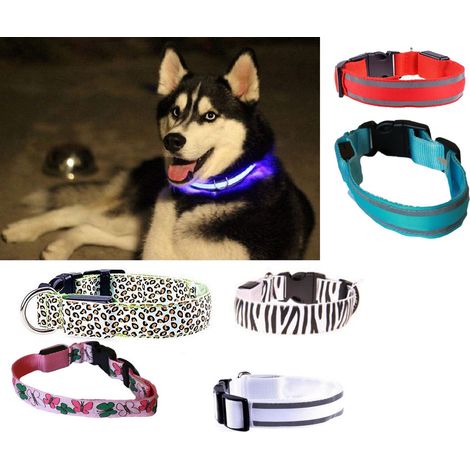5X COLLARE PER CANE CANI A LED LUMINOSO TG S/M/L SICUREZZA LED NOTTURNO CLIP FANTASIA - Taglia L - Taglia: L