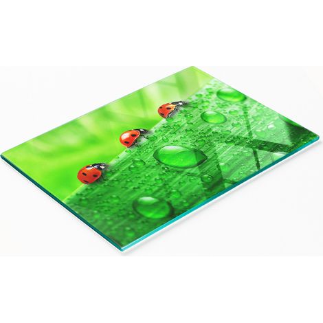 Tabla de cortar decorativa de cristal para cocina con diseño de mariquita y césped, 80x52 cm (1/5)