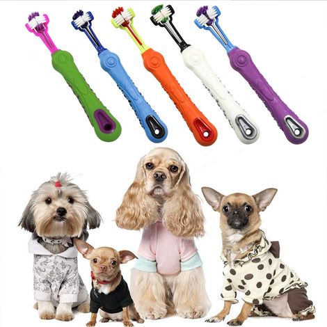 Brosse à dents pour animaux de compagnie à trois têtes Teddy Dog, soins dentaires pour chiens et chats