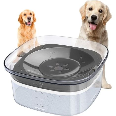 1 gamelle flottante, capacité 2 L, transparente avec graduation, base antidérapante, anti-éclaboussures, pour chiens et chats (1/5)