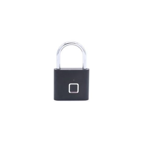 Cadenas à empreintes digitales, serrure de sécurité intelligente sans clé, détection des doigts, serrure antivol biométrique, valise de bagages, casier de gym, porte de maison, sac à dos