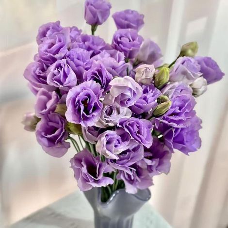 2500 graines de lisianthus couleur lilas clair - Floraison délicate et originale, facile à cultiver, idéal pour jardin et pots (1/5)