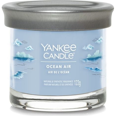 Yankee Candle Ocean AIR Duftkerze 122 g (1/4)