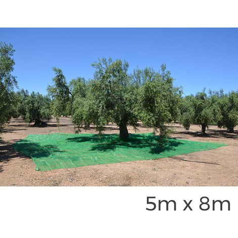 MANTO PARA RECOLECTA DE FRUTOS 5x8m COLOR VERDE (1/3)