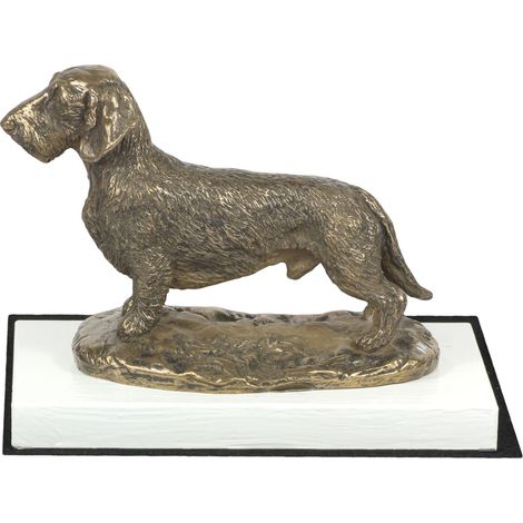 Bassotto a pelo duro - statuetta di cane, figurina su base bianca, trofeo per una mostra canina di Art-Dog (1/5)