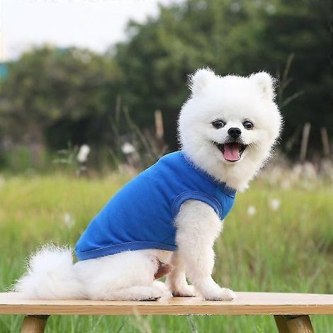 Ropa de verano para mascotas, para perros pequeños y medianos, camiseta de algodón liso, accesorios para perros, artículos para mascotas, chaleco para gatos, camisetas azul oscuro (1/5)