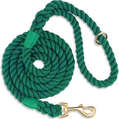 Laisse pour Chien de 1,5 m, Vert ,fabriquée à la Main, en Corde de Coton tressée, avec poignée en Cuir, pour Chiens de Petite (1/5)