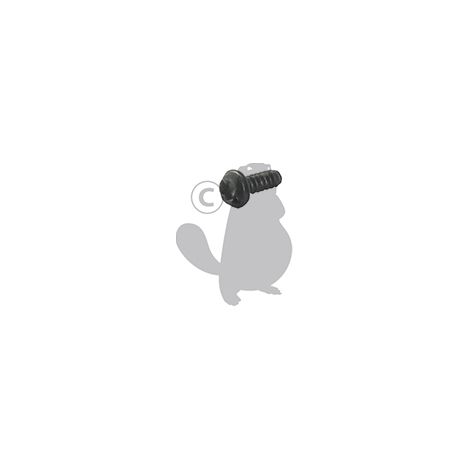 Vis Torx 4 X 12mm Origine Stiga.