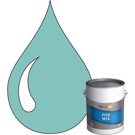 Peinture d'Accroche et Finition 2 en 1 - POK - RAL 6027 - Vert Clair - Satiné - 1L (1/4)
