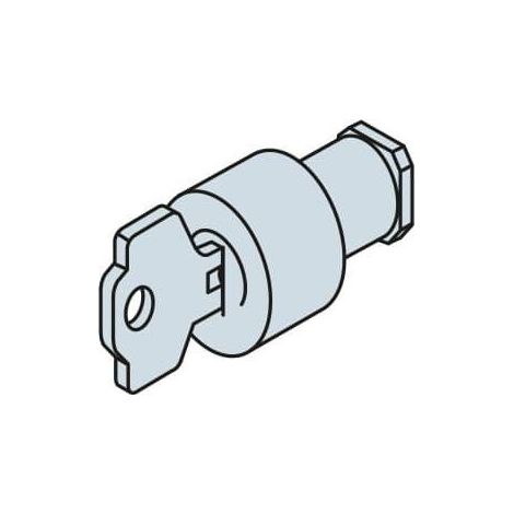 Barillet type Ronis R455 pour Serrure EV1008 1STQ000975A0000 ABB EV1037