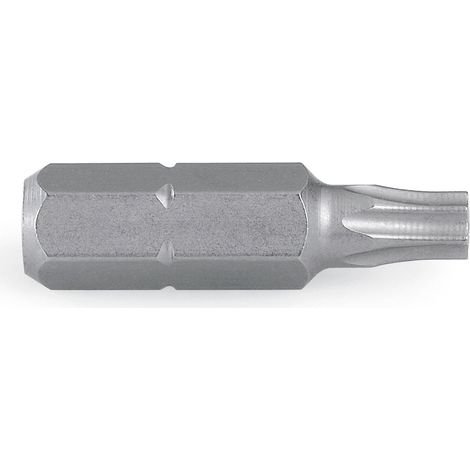 WITTE-PUNTA TORX 15X25MM - AGHASA (1/2)