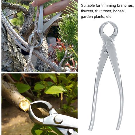 Gartenschere für Topfpflanzen und Bonsai, 183 mm Astschneider (1/5)