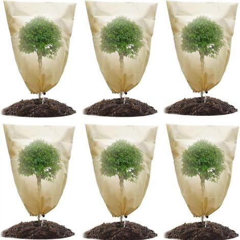 Set of 6 Winter Plant Covers for Potted Plants, Protective Plant Covers for Plants Against Winter Frost with Drawstring, 60 x 80 cm (1/5)